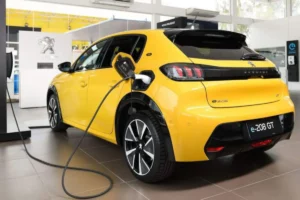 carro elétrico vai dar certo